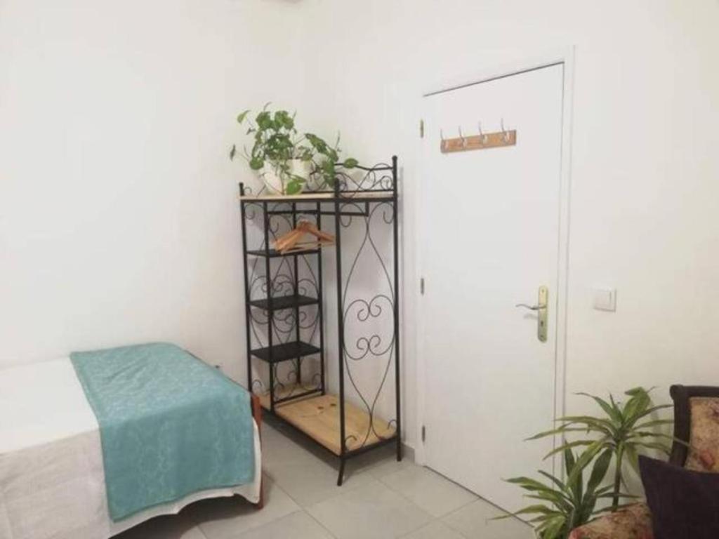 Home & Flower - Private Bedrooms Funchal Exteriör bild